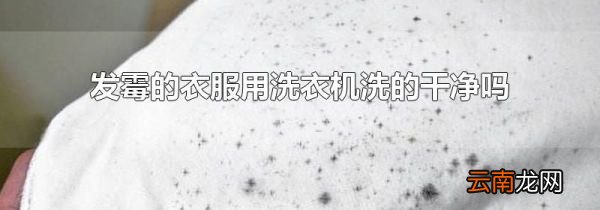 发霉的衣服用洗衣机洗的干净吗