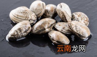 花甲在家里怎么养 花甲如何养活