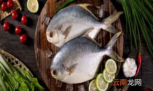 买回来的活鱼怎么保存 吃不完的活鱼怎么保存