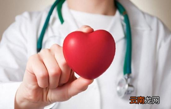 补肝肾养精血，润燥滑肠，食物中的黑色黄金，乌发黑发
