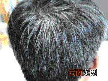 补肝肾养精血，润燥滑肠，食物中的黑色黄金，乌发黑发