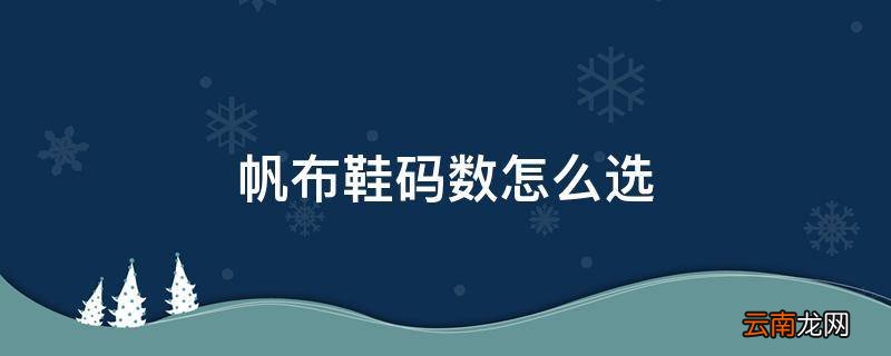 帆布鞋码数怎么选