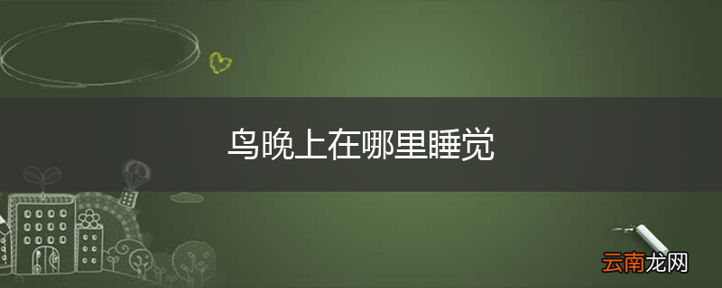 鸟晚上在哪里睡觉