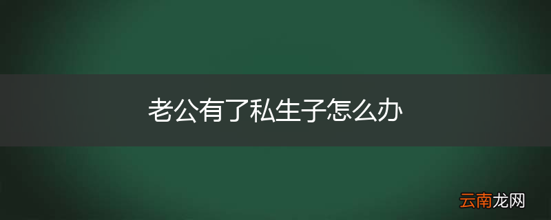 老公有了私生子怎么办