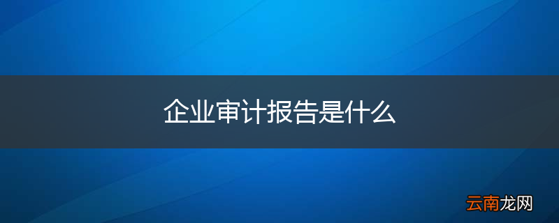 企业审计报告是什么
