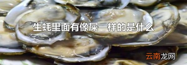 生蚝里面有像屎一样的是什么