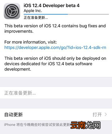 苹果推送ios12.4开发者预览版beta4 更新修复bug