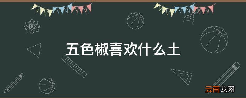 五色椒喜欢什么土