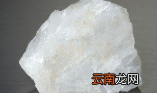 最旺家的四种东西，家里最旺财的十种花