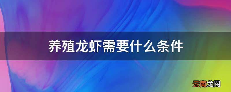 养殖龙虾需要什么条件