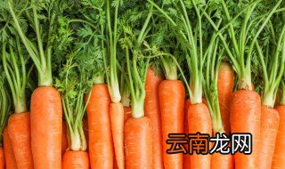 胡萝卜染色勺子怎么洗 胡萝卜染上的颜色怎么洗