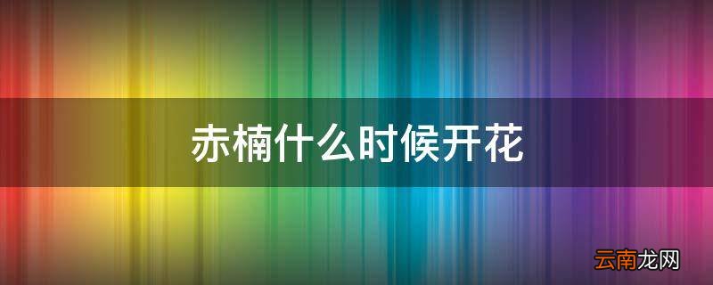 赤楠什么时候开花