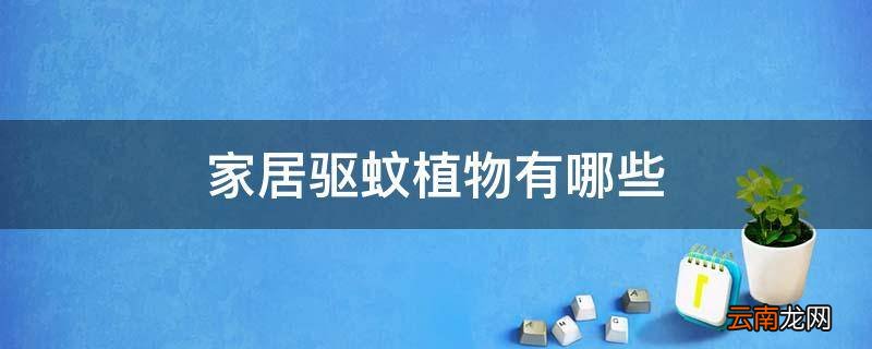 家居驱蚊植物有哪些