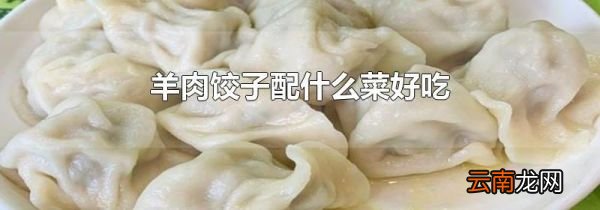 羊肉饺子配什么菜好吃
