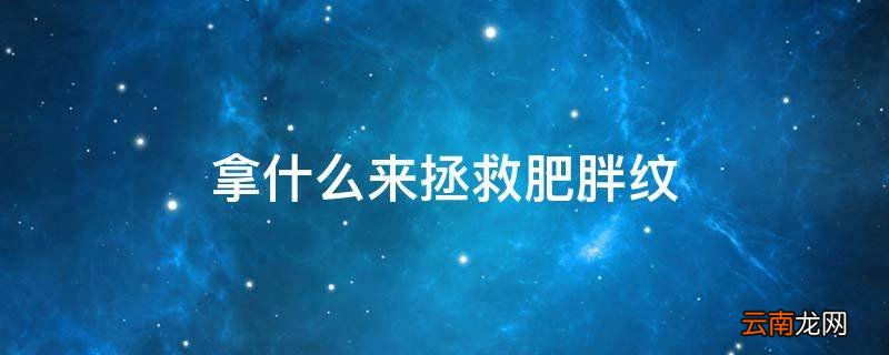 拿什么来拯救肥胖纹