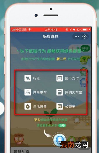 支付宝app中种树具体操作方法
