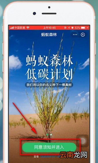 支付宝app中种树具体操作方法