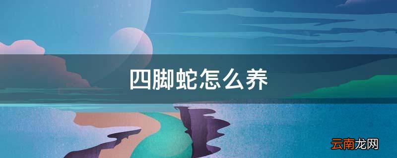 四脚蛇怎么养