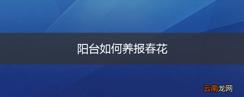 阳台如何养报春花
