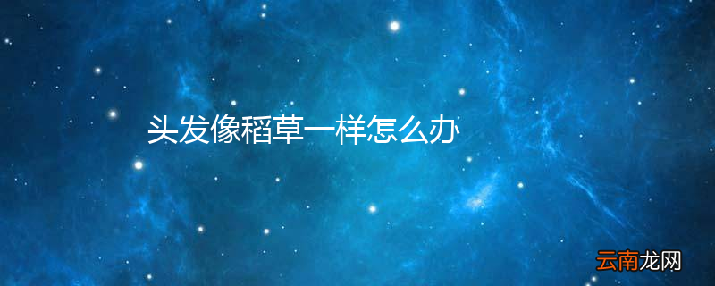 头发像稻草一样怎么办