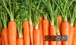 胡萝卜怎么读英语 胡萝卜的英语是什么