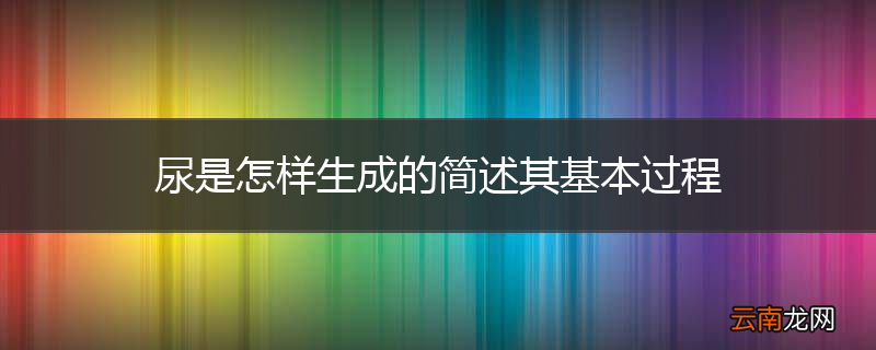 尿是怎样生成的简述其基本过程