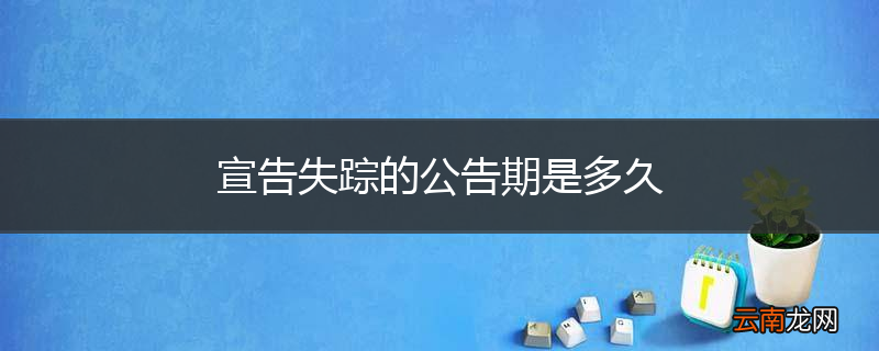 宣告失踪的公告期是多久