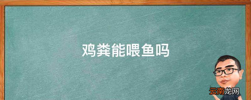 鸡粪能喂鱼吗