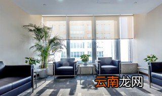 冬天好养的植物盆栽有哪些 冬天好养的植物