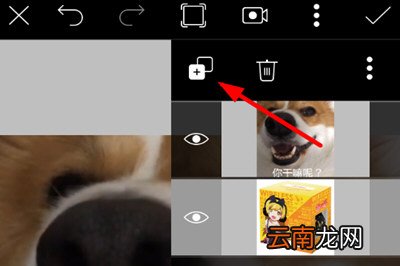 PicsArt生成动态图具体操作方法