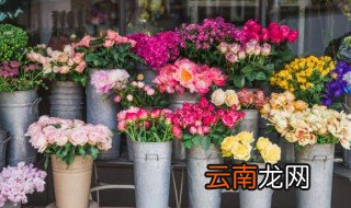 家里养花怎么防止枯萎 家里植物枯萎怎么办