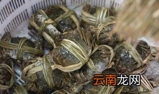 家里怎么养河蟹，在家养河蟹要怎么养
