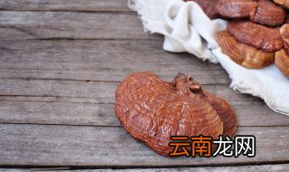 家里怎么养灵芝 家里如何养灵芝