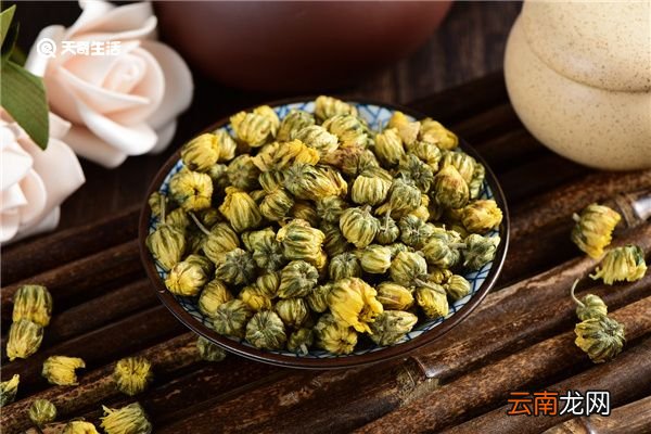 胎菊花的功效与作用 胎菊花的功效