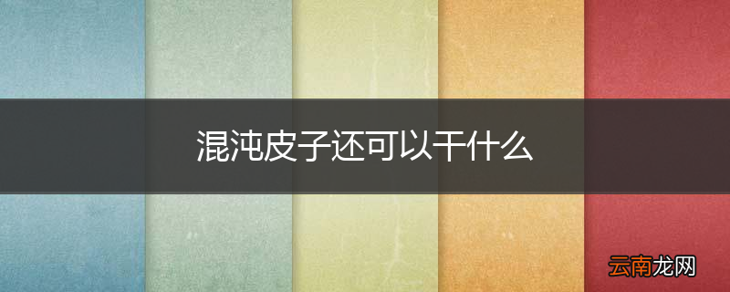 混沌皮子还可以干什么