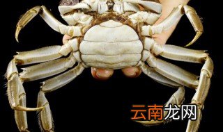家里螃蟹怎么养 螃蟹如何在家里养