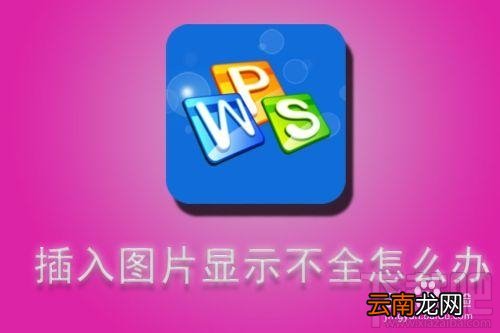 WPS文字插入图片显示不全怎么办？WPS文字插入图片显示不全解决办法