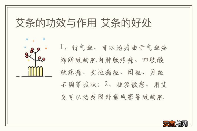 艾条的功效与作用 艾条的好处