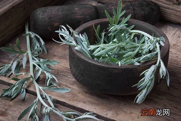 艾条的功效与作用 艾条的好处