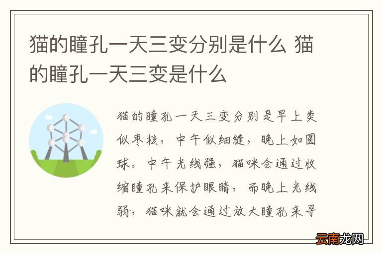 猫的瞳孔一天三变分别是什么 猫的瞳孔一天三变是什么