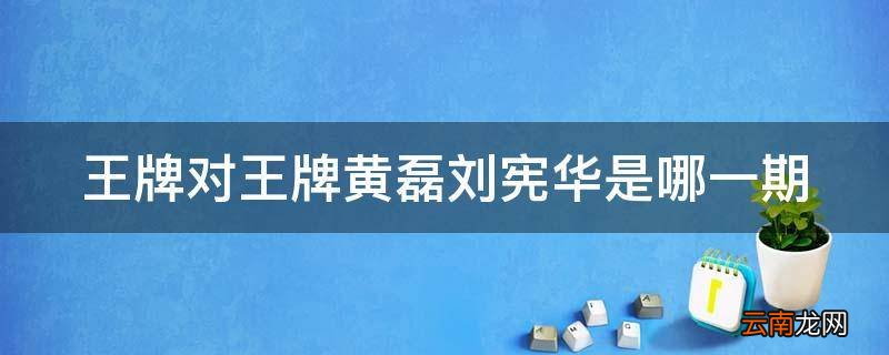 王牌对王牌黄磊刘宪华是哪一期