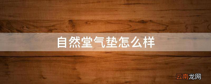 自然堂气垫怎么样