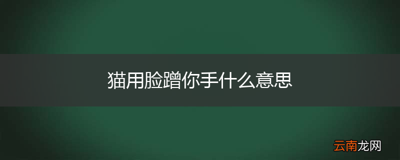猫用脸蹭你手什么意思