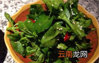 鸽子吃马齿苋的功效与作用,鸽子吃麻子菜有好处吗
