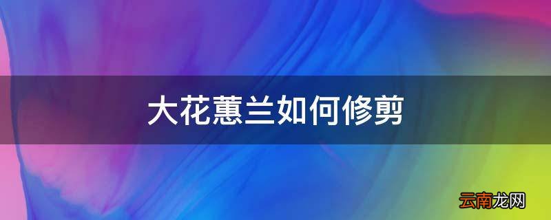 大花蕙兰如何修剪