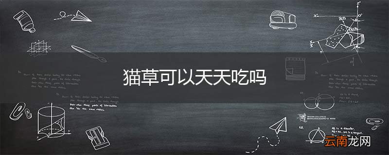 猫草可以天天吃吗