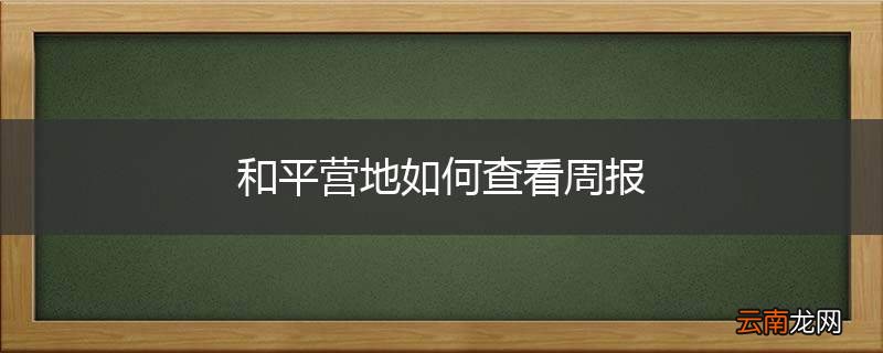 和平营地如何查看周报