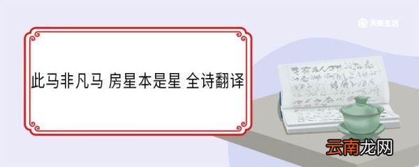 此马非凡马房星本是星全诗翻译 此马非凡马房星本是星意思翻译