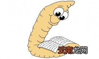 家里怎么养红虫 如何养红虫子