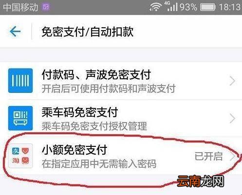 支付宝50元内免密支付怎么关闭